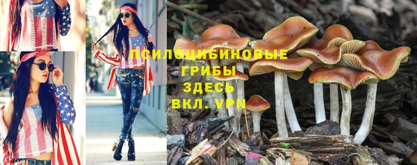 кокаин Алексеевка