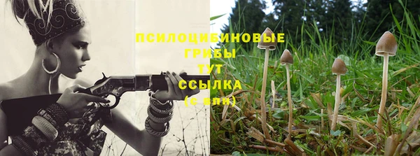 соль курить ск Алзамай