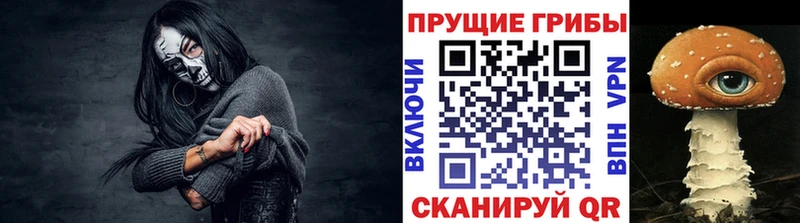 купить наркоту  Муром  MEGA ТОР  дарк нет клад  Псилоцибиновые грибы ЛСД 